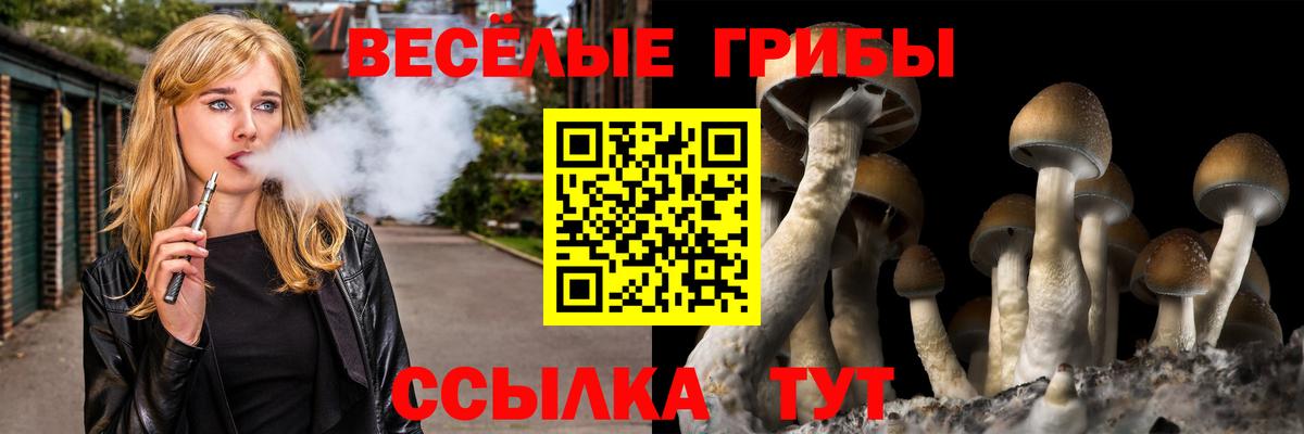 Псилоцибиновые грибы мухоморы  Вход с VPN  Великие Луки 